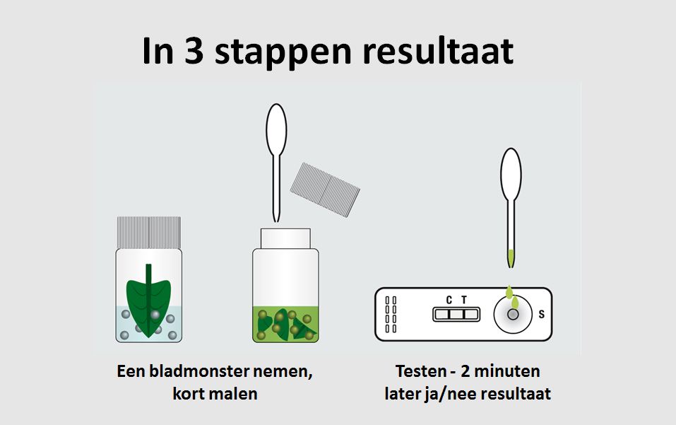 sneltest in 3 stappen hoe werkt het